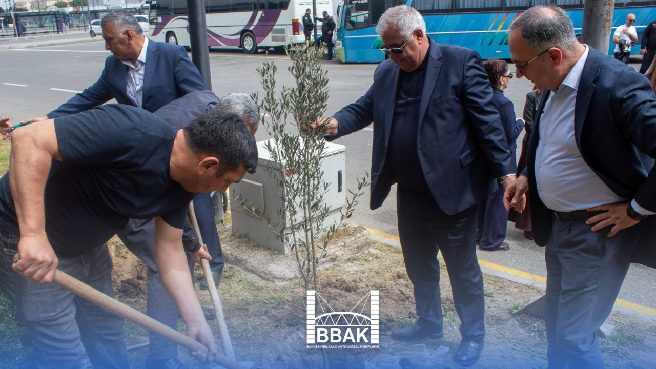 Heydər Əliyevin 103 illiyinə həsr olunan ağacəkmə aksiyası keçirildi - FOTOLAR